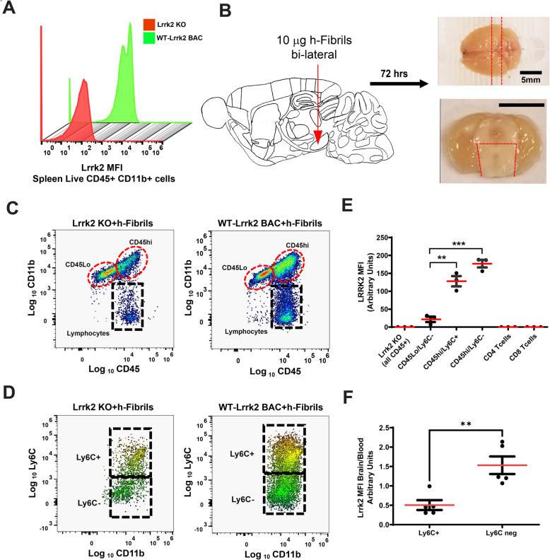 https://cdn.ncbi.nlm.nih.gov/pmc/blobs/0da7/8751347/82e80646eced/13024_2021_509_Fig4_HTML.jpg