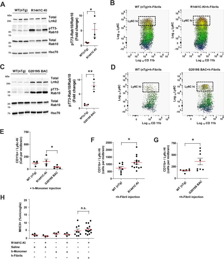 https://cdn.ncbi.nlm.nih.gov/pmc/blobs/0da7/8751347/b2f2ab7750c2/13024_2021_509_Fig5_HTML.jpg