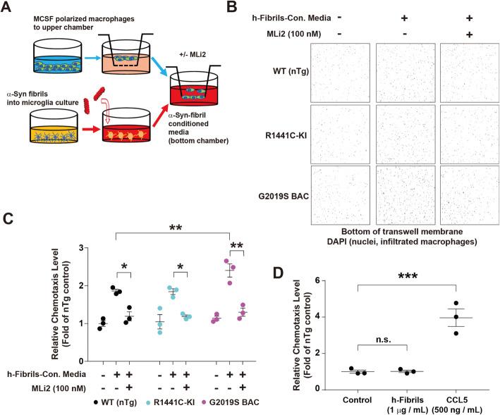 https://cdn.ncbi.nlm.nih.gov/pmc/blobs/0da7/8751347/e5e1a2356fa4/13024_2021_509_Fig6_HTML.jpg