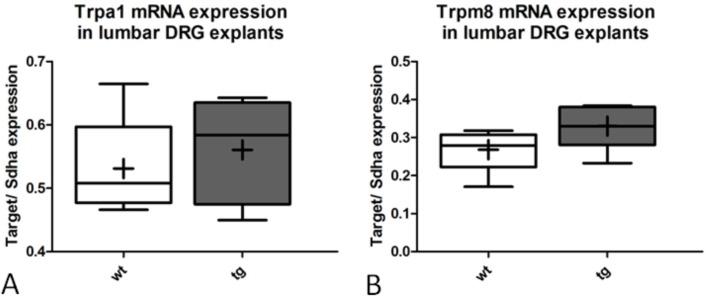https://cdn.ncbi.nlm.nih.gov/pmc/blobs/0dab/4619736/446aafbe8854/pone.0136575.g008.jpg