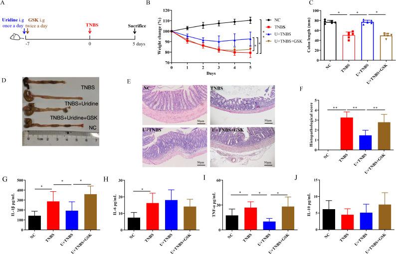 https://cdn.ncbi.nlm.nih.gov/pmc/blobs/0dad/12087013/4893d2a5563c/fimmu-16-1600838-g004.jpg