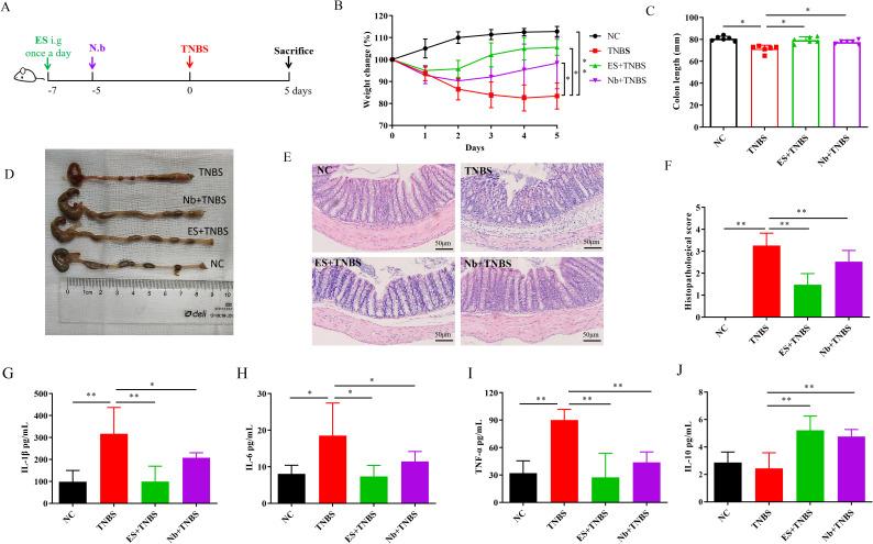 https://cdn.ncbi.nlm.nih.gov/pmc/blobs/0dad/12087013/cd1f9d5653af/fimmu-16-1600838-g001.jpg