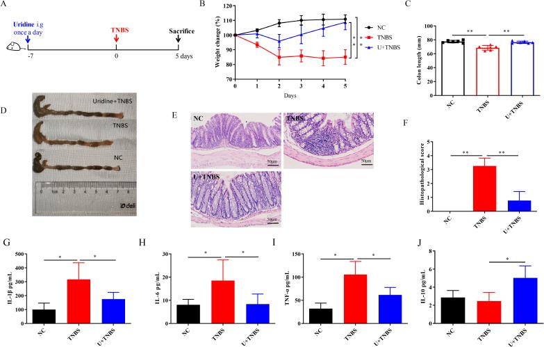 https://cdn.ncbi.nlm.nih.gov/pmc/blobs/0dad/12087013/f20bdcdeecf3/fimmu-16-1600838-g002.jpg