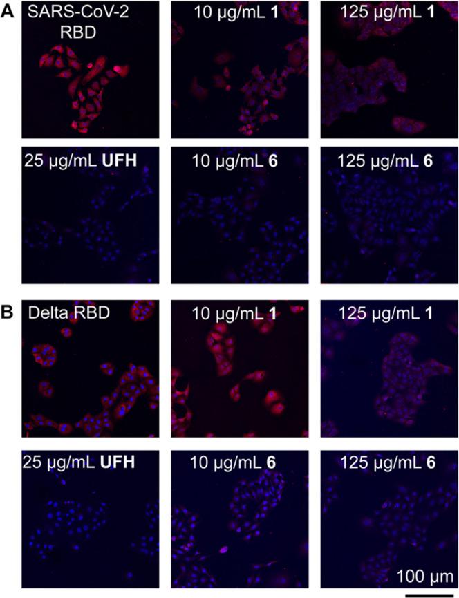 https://cdn.ncbi.nlm.nih.gov/pmc/blobs/0daf/10131215/f723cebafcb5/au3c00042_0004.jpg