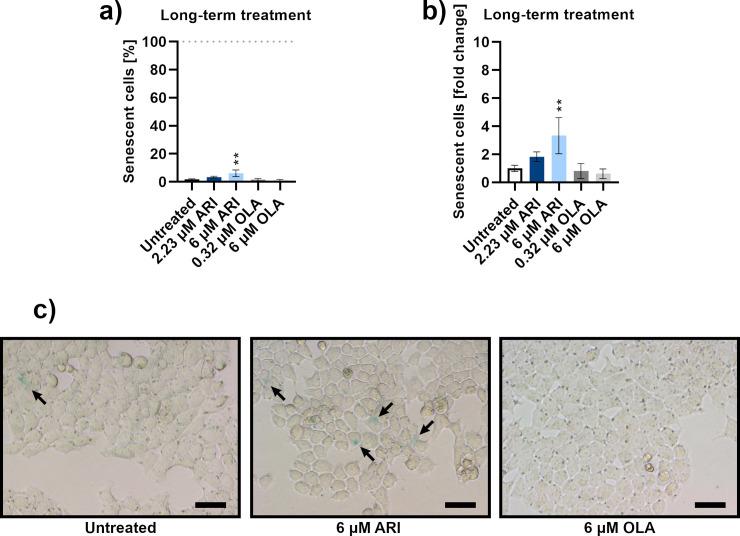 https://cdn.ncbi.nlm.nih.gov/pmc/blobs/0db3/7588089/21f768d44e49/pone.0240754.g005.jpg