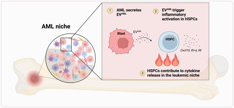 https://cdn.ncbi.nlm.nih.gov/pmc/blobs/0db4/11376595/7d2cef8eb547/oncotarget-15-28642-g001.jpg