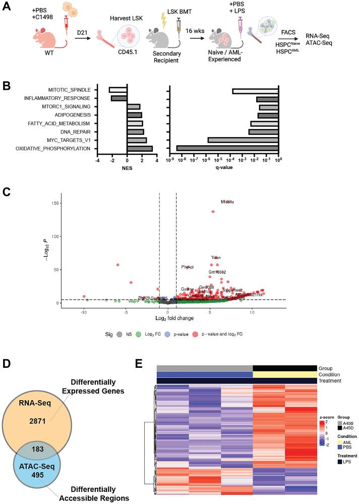 https://cdn.ncbi.nlm.nih.gov/pmc/blobs/0db4/11376595/9b28cb096f52/oncotarget-15-28642-g002.jpg