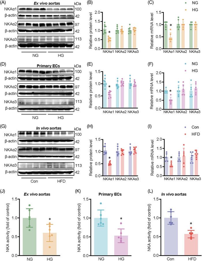 https://cdn.ncbi.nlm.nih.gov/pmc/blobs/0db5/11995423/439d4e5d3de3/CTM2-15-e70221-g007.jpg