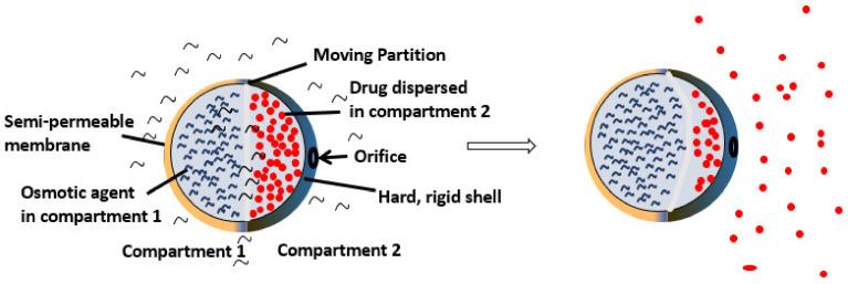 https://cdn.ncbi.nlm.nih.gov/pmc/blobs/0db5/8512302/58387a28ccee/molecules-26-05905-g027.jpg