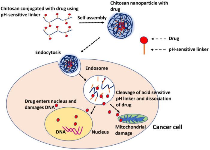 https://cdn.ncbi.nlm.nih.gov/pmc/blobs/0db5/8512302/7916ad30e955/molecules-26-05905-g033.jpg