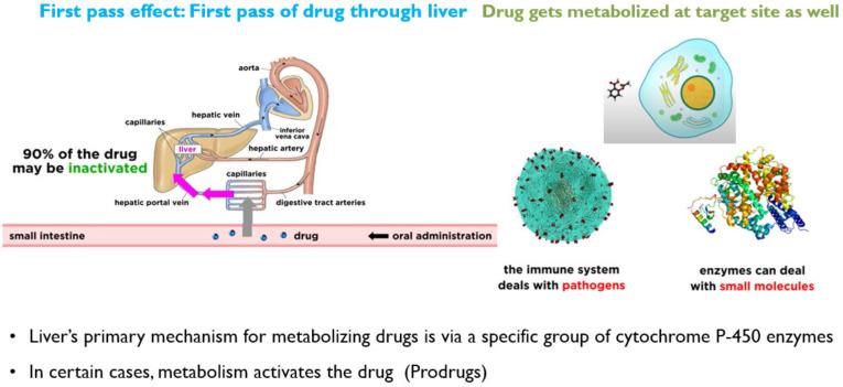 https://cdn.ncbi.nlm.nih.gov/pmc/blobs/0db5/8512302/7a3ad0887ca0/molecules-26-05905-g013.jpg