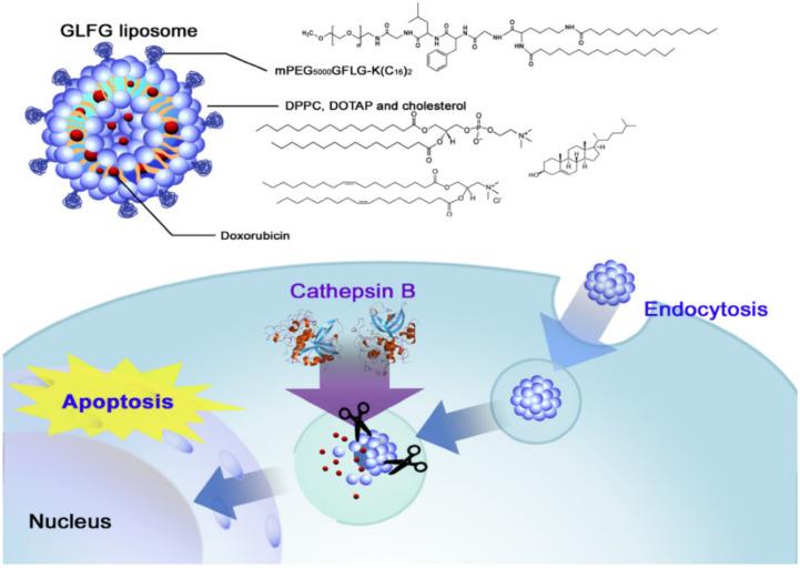https://cdn.ncbi.nlm.nih.gov/pmc/blobs/0db5/8512302/8e6b9ac40a2b/molecules-26-05905-g034.jpg
