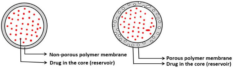 https://cdn.ncbi.nlm.nih.gov/pmc/blobs/0db5/8512302/9c0b7d978e3a/molecules-26-05905-g025.jpg