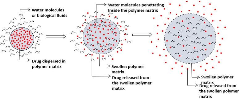 https://cdn.ncbi.nlm.nih.gov/pmc/blobs/0db5/8512302/9d600c259df1/molecules-26-05905-g029.jpg