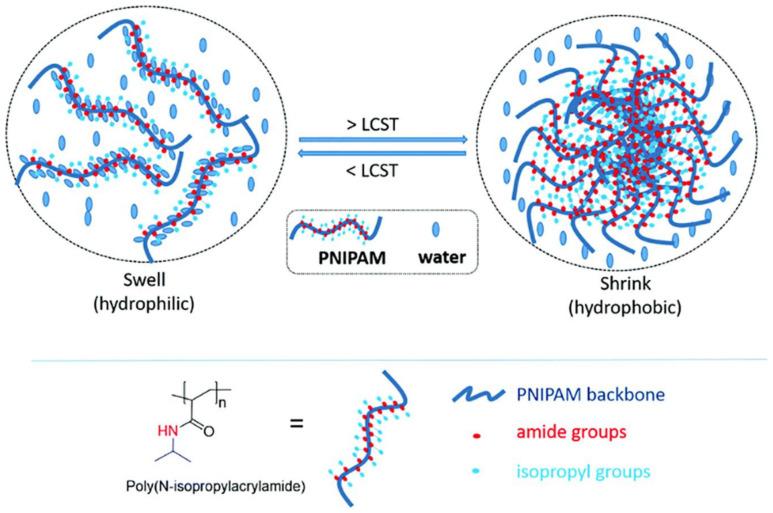 https://cdn.ncbi.nlm.nih.gov/pmc/blobs/0db5/8512302/9f9a1ae28c00/molecules-26-05905-g036.jpg