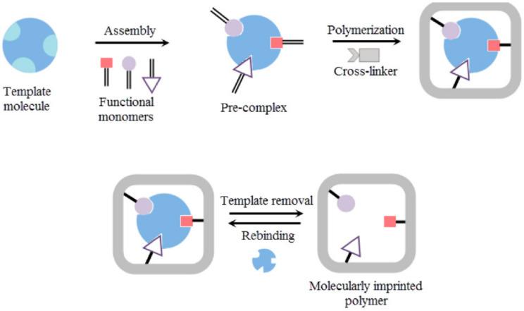 https://cdn.ncbi.nlm.nih.gov/pmc/blobs/0db5/8512302/b856f52ec749/molecules-26-05905-g038.jpg