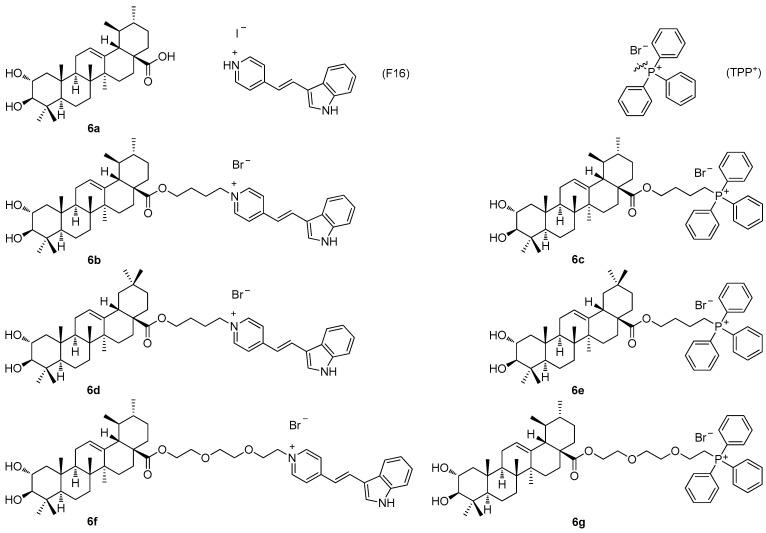 https://cdn.ncbi.nlm.nih.gov/pmc/blobs/0db6/12348783/991488f72417/molecules-30-03106-g006.jpg