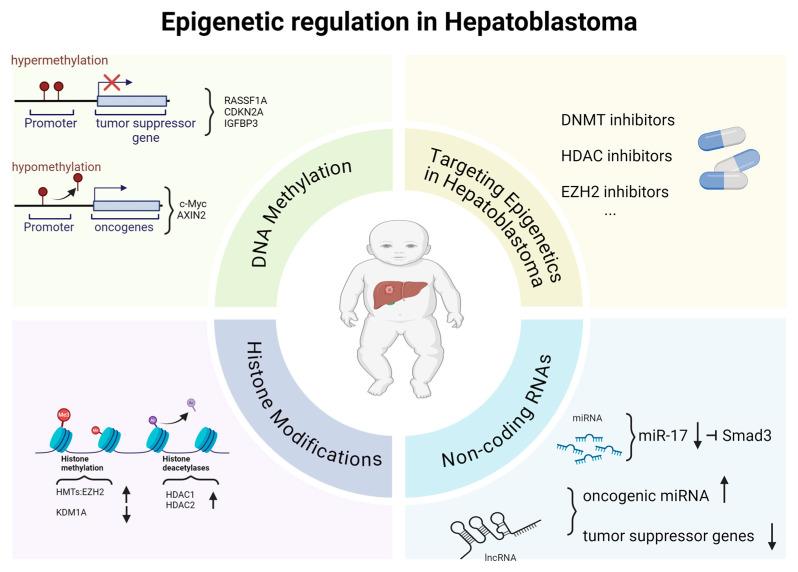 https://cdn.ncbi.nlm.nih.gov/pmc/blobs/0db9/11593527/29126efc2742/genes-15-01358-g002.jpg