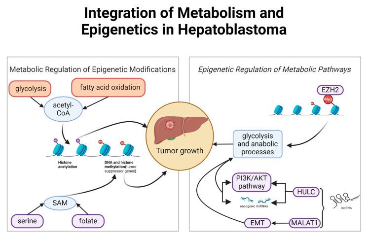 https://cdn.ncbi.nlm.nih.gov/pmc/blobs/0db9/11593527/63f8d759e4db/genes-15-01358-g003.jpg