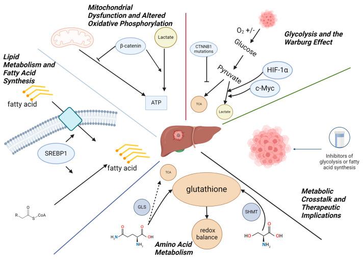 https://cdn.ncbi.nlm.nih.gov/pmc/blobs/0db9/11593527/915d79701e26/genes-15-01358-g001.jpg