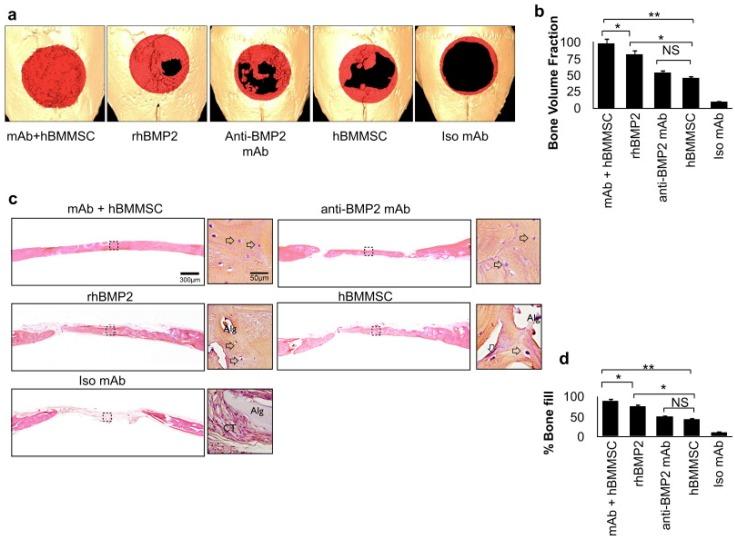 https://cdn.ncbi.nlm.nih.gov/pmc/blobs/0db9/5748556/f00bdc826ba5/jfb-08-00049-g004.jpg