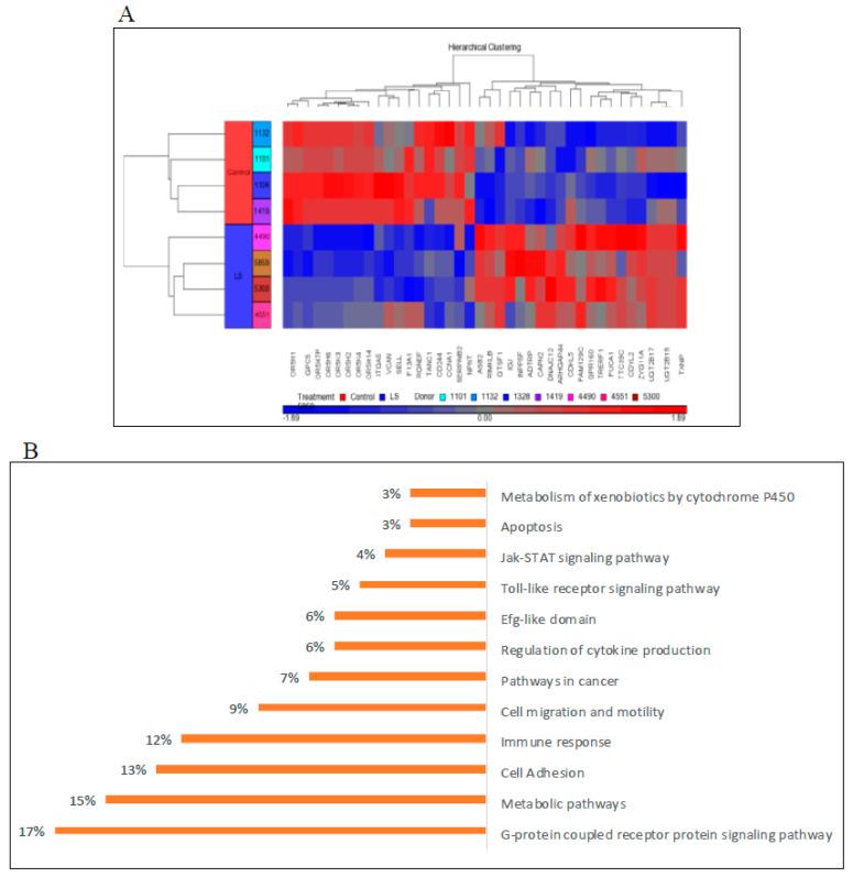 https://cdn.ncbi.nlm.nih.gov/pmc/blobs/0db9/7696416/24f2af6e386f/cells-09-02446-g002.jpg