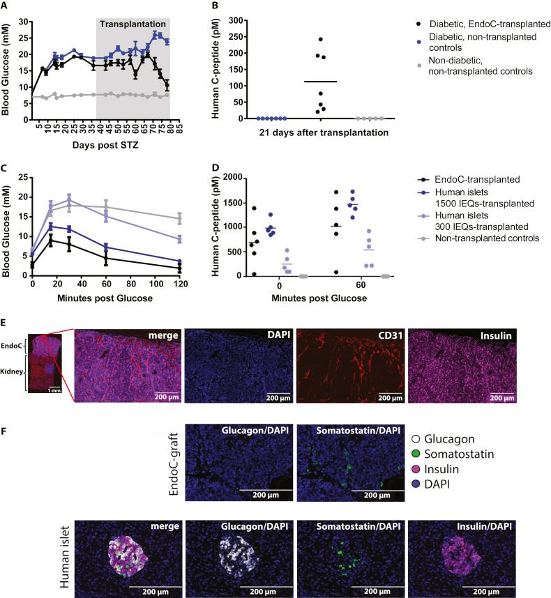 https://cdn.ncbi.nlm.nih.gov/pmc/blobs/0dba/5985049/207de4430722/gr1.jpg