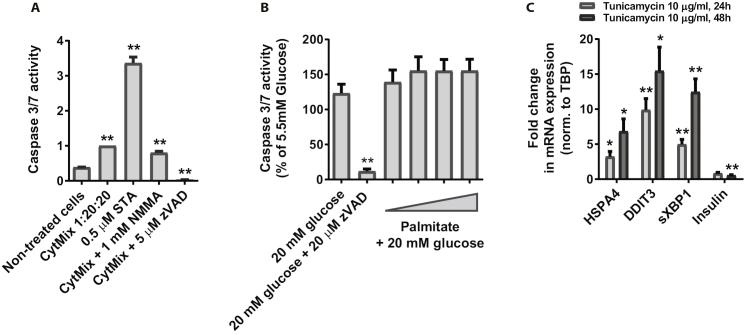 https://cdn.ncbi.nlm.nih.gov/pmc/blobs/0dba/5985049/302fc5450959/figs5.jpg