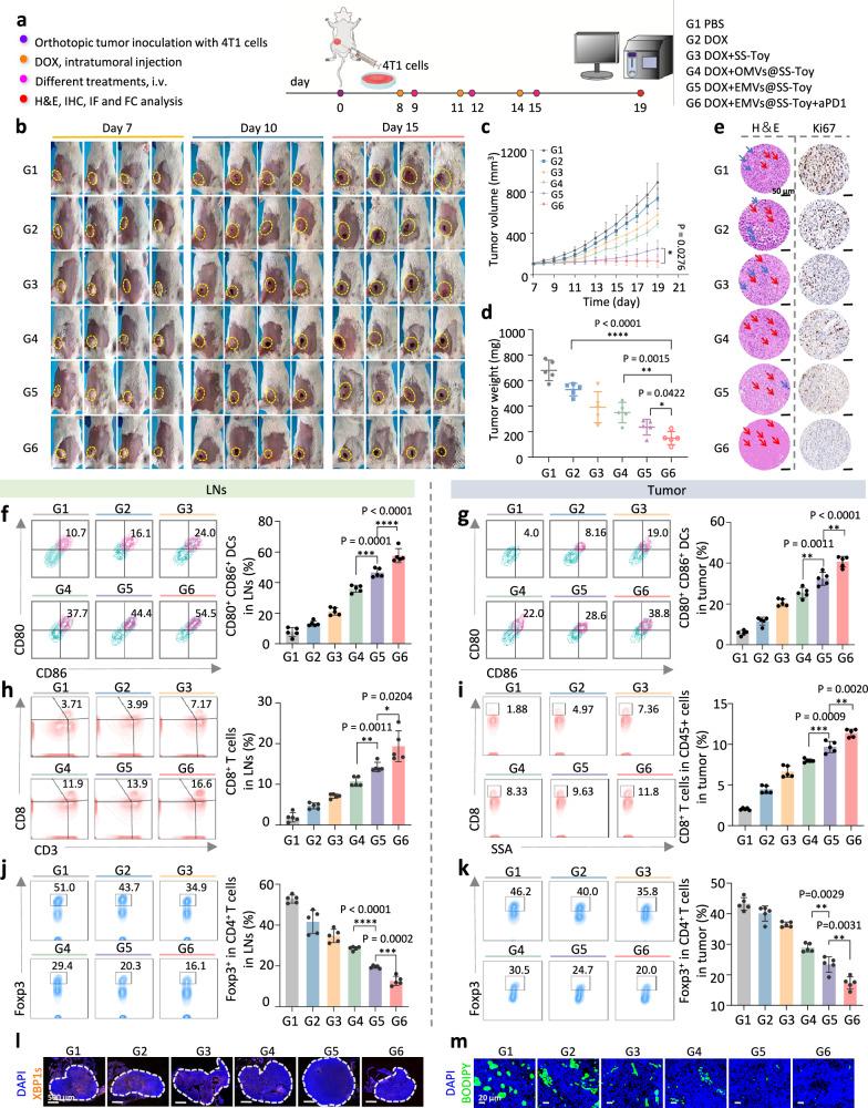 https://cdn.ncbi.nlm.nih.gov/pmc/blobs/0dbb/12318024/130bc7fe52c8/41467_2025_62543_Fig5_HTML.jpg