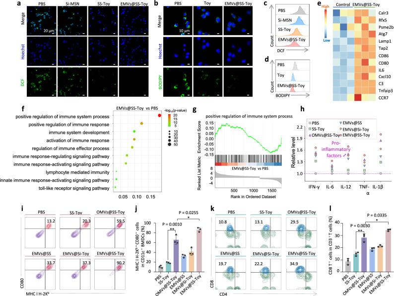 https://cdn.ncbi.nlm.nih.gov/pmc/blobs/0dbb/12318024/9865630fa317/41467_2025_62543_Fig3_HTML.jpg