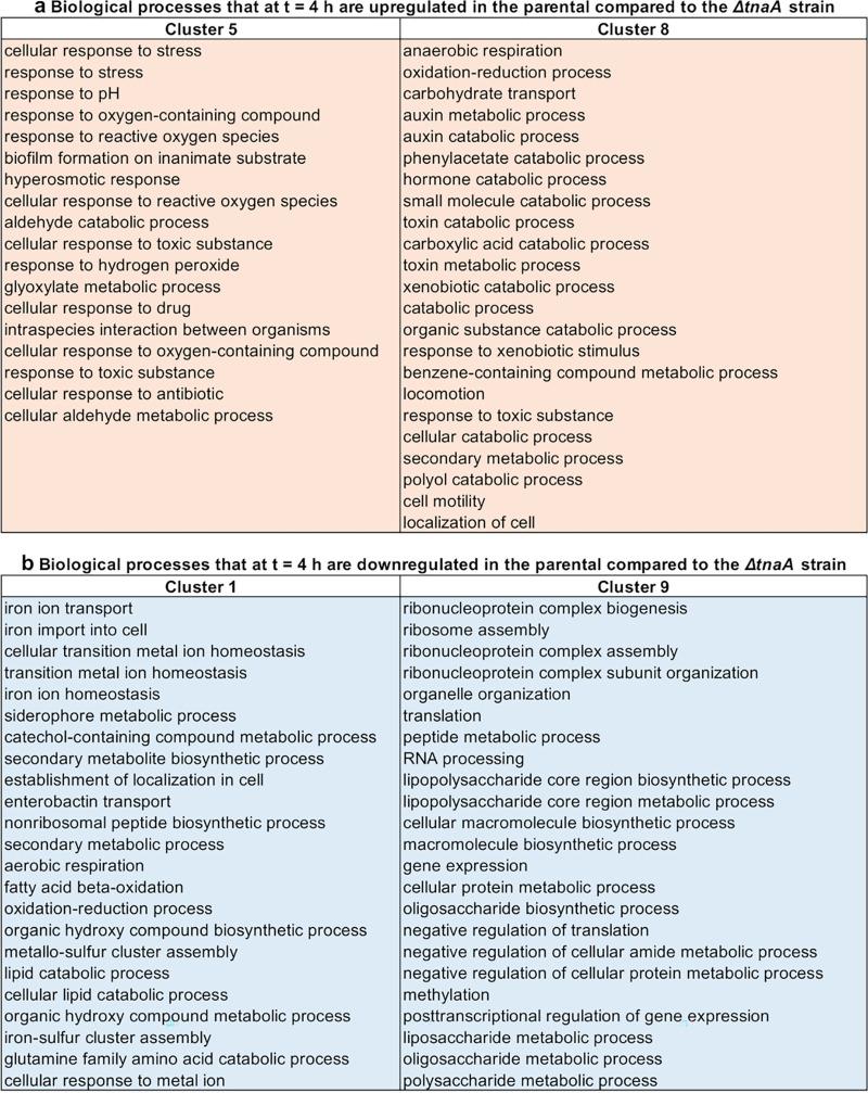 https://cdn.ncbi.nlm.nih.gov/pmc/blobs/0dbb/8406257/744013138167/mbio.00909-21-f004.jpg