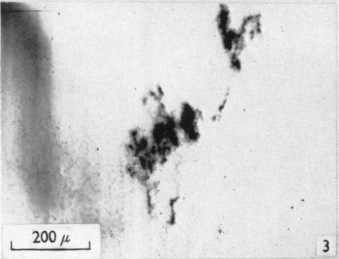https://cdn.ncbi.nlm.nih.gov/pmc/blobs/0dbd/1363015/3f4573591f33/jphysiol01359-0102-c.jpg