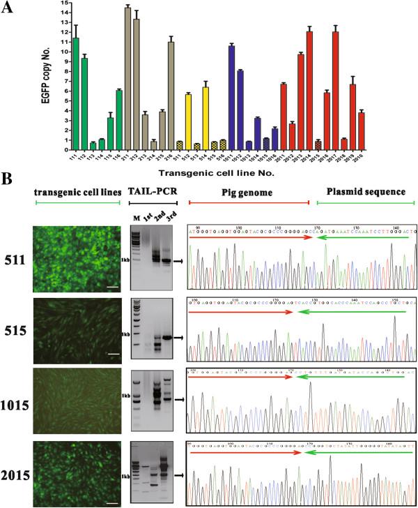https://cdn.ncbi.nlm.nih.gov/pmc/blobs/0dbf/3844521/a2d30d6d421d/1471-2199-14-20-2.jpg