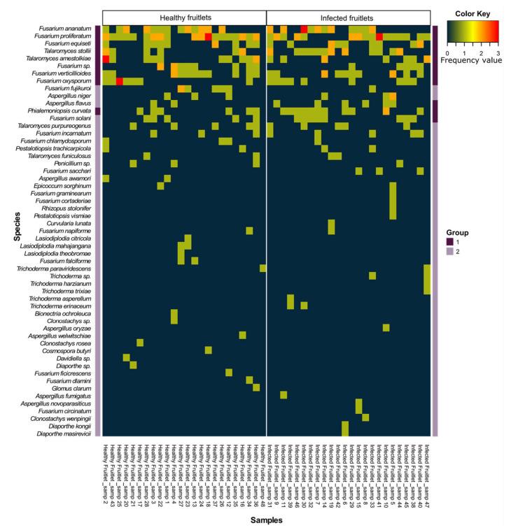 https://cdn.ncbi.nlm.nih.gov/pmc/blobs/0dc2/7997448/6452205619d8/jof-07-00175-g005.jpg
