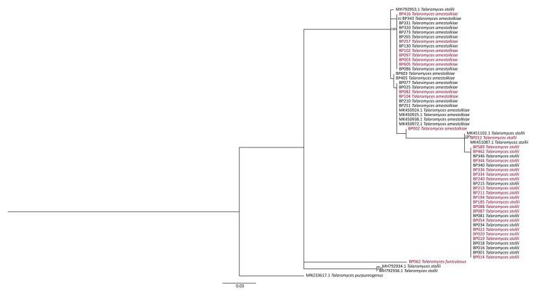 https://cdn.ncbi.nlm.nih.gov/pmc/blobs/0dc2/7997448/78d68b496c3d/jof-07-00175-g008.jpg