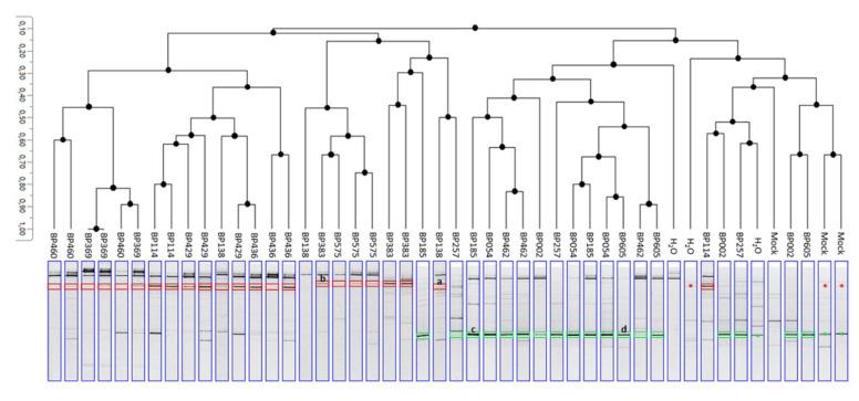 https://cdn.ncbi.nlm.nih.gov/pmc/blobs/0dc2/7997448/8bc238e8183a/jof-07-00175-g012.jpg