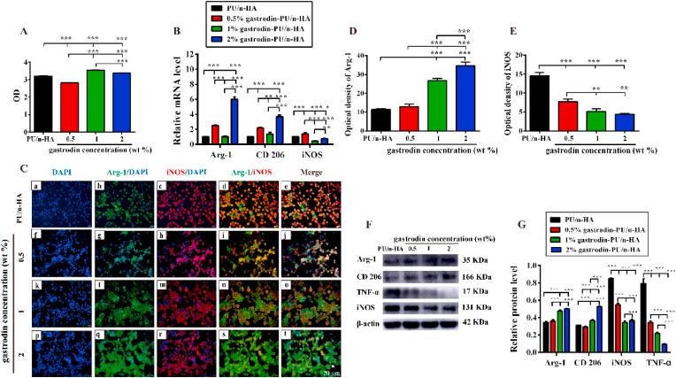 https://cdn.ncbi.nlm.nih.gov/pmc/blobs/0dc2/8980440/23bff522beda/gr3.jpg