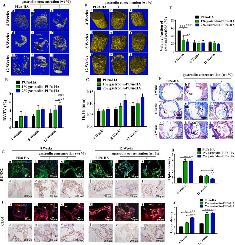 https://cdn.ncbi.nlm.nih.gov/pmc/blobs/0dc2/8980440/3c6ea5049efc/gr7.jpg