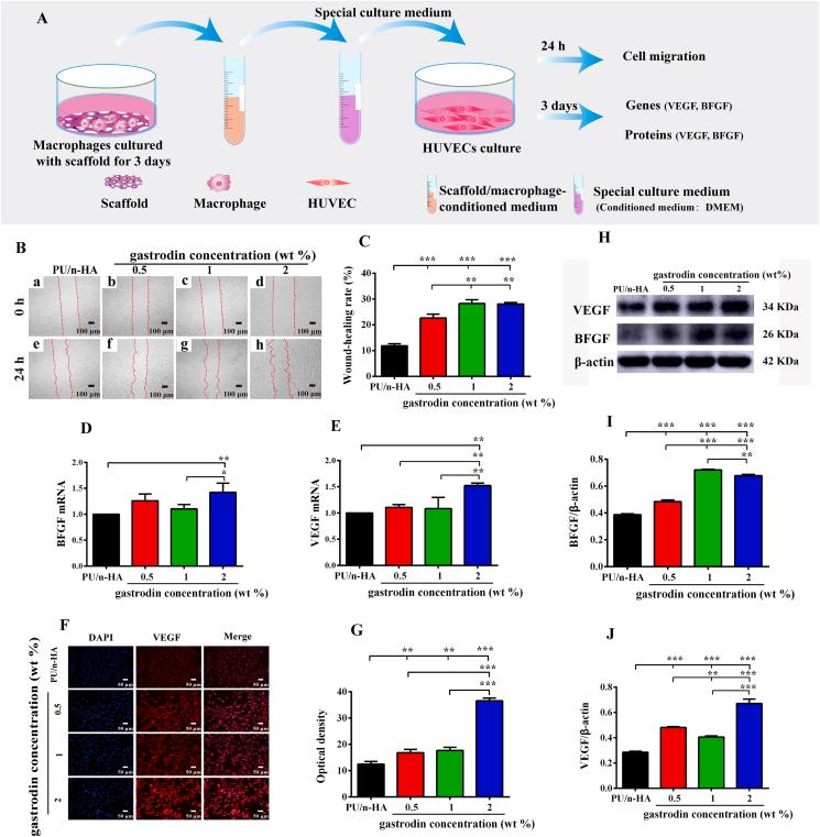 https://cdn.ncbi.nlm.nih.gov/pmc/blobs/0dc2/8980440/68d1f2f98390/gr5.jpg