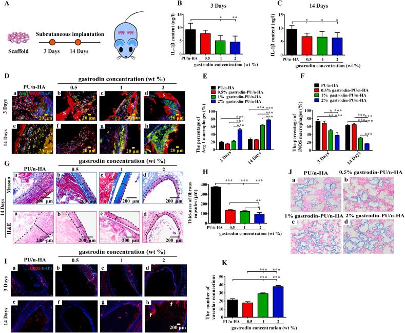 https://cdn.ncbi.nlm.nih.gov/pmc/blobs/0dc2/8980440/9208f7f86547/gr6.jpg
