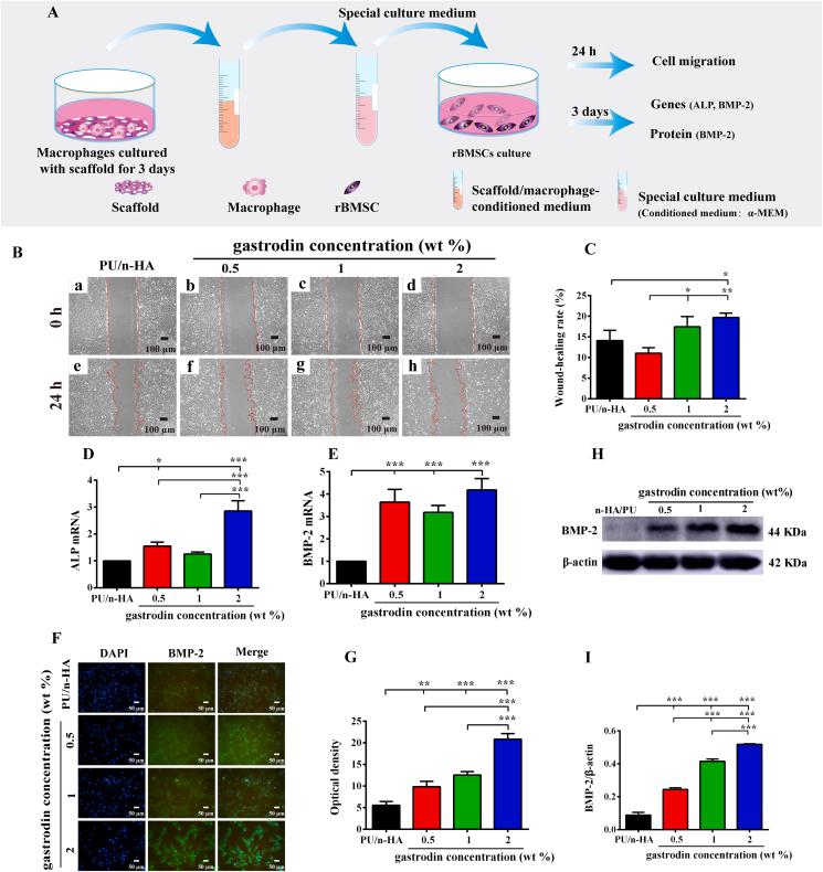 https://cdn.ncbi.nlm.nih.gov/pmc/blobs/0dc2/8980440/f4783eb43fc1/gr4.jpg