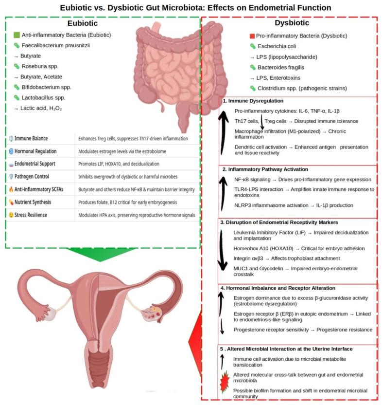https://cdn.ncbi.nlm.nih.gov/pmc/blobs/0dc4/12113314/dcb94e725f12/life-15-00762-g001.jpg