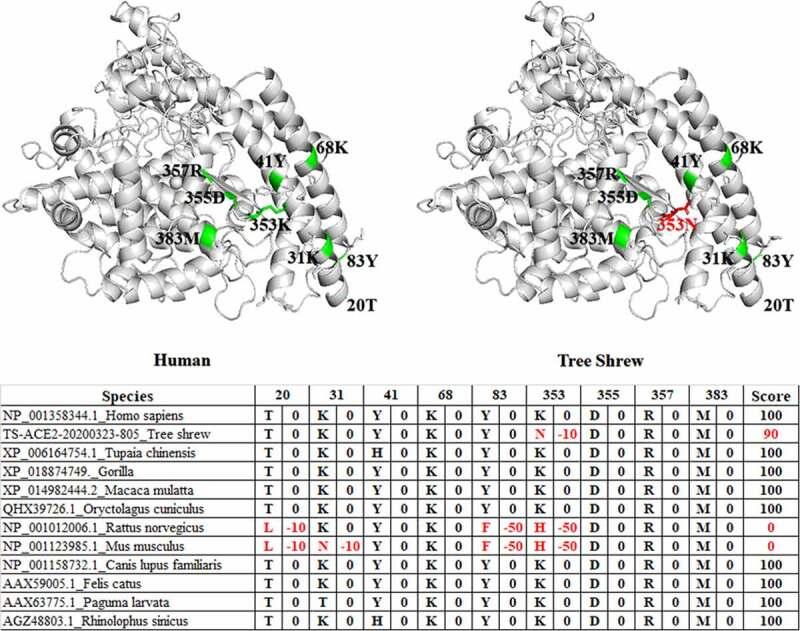 https://cdn.ncbi.nlm.nih.gov/pmc/blobs/0dc4/8806782/dfcdd4966ea3/KBIE_A_1940072_F0005_OC.jpg