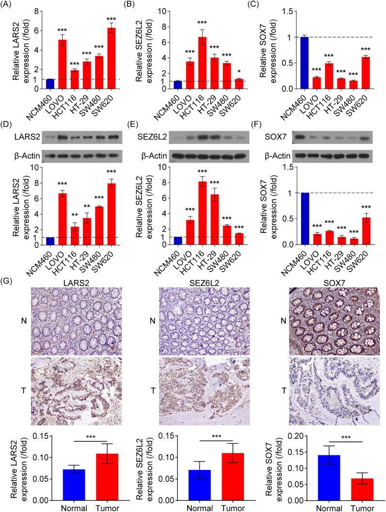 https://cdn.ncbi.nlm.nih.gov/pmc/blobs/0dc5/11994618/6db5cdf6247c/fimmu-16-1496640-g009.jpg