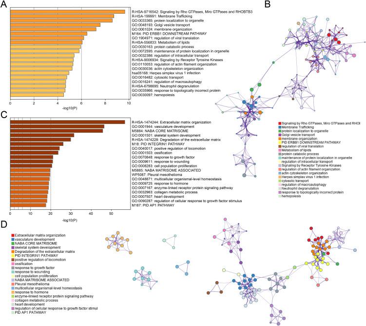https://cdn.ncbi.nlm.nih.gov/pmc/blobs/0dc5/11994618/dd1af0ecbee0/fimmu-16-1496640-g003.jpg