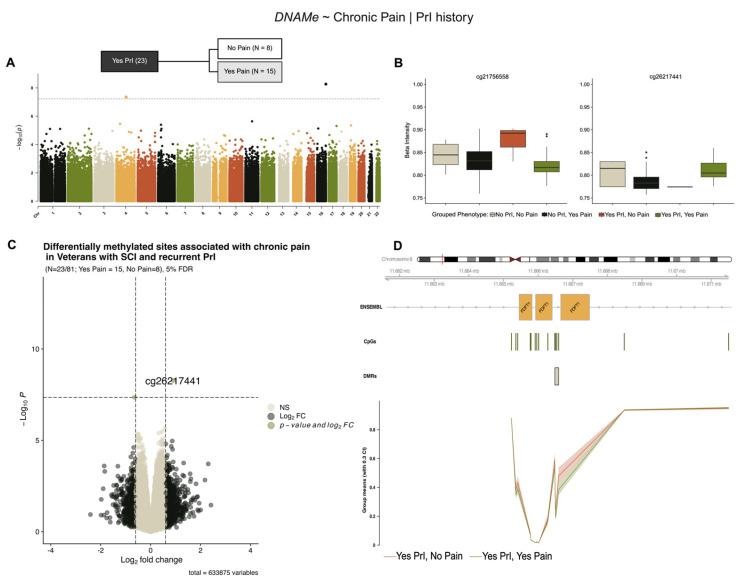 https://cdn.ncbi.nlm.nih.gov/pmc/blobs/0dc5/12372147/3965126d0430/epigenomes-09-00026-g004.jpg