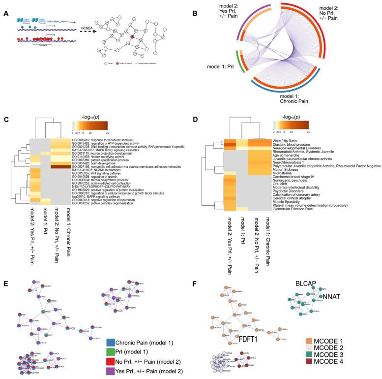 https://cdn.ncbi.nlm.nih.gov/pmc/blobs/0dc5/12372147/3a355e459c28/epigenomes-09-00026-g005.jpg