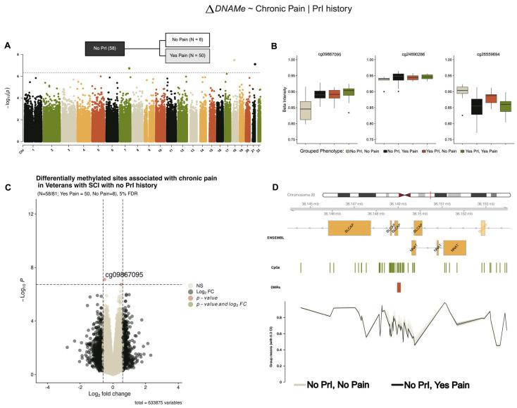 https://cdn.ncbi.nlm.nih.gov/pmc/blobs/0dc5/12372147/51e0bd9150d6/epigenomes-09-00026-g003.jpg
