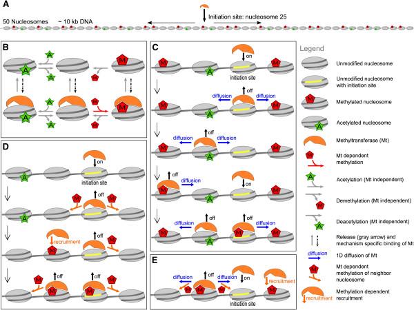 https://cdn.ncbi.nlm.nih.gov/pmc/blobs/0dc6/4234852/bf7ab6ccd81b/13072_2014_336_Fig1_HTML.jpg
