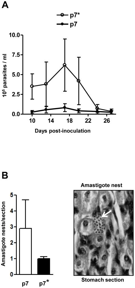 https://cdn.ncbi.nlm.nih.gov/pmc/blobs/0dc7/2830468/1ce3245a2016/pntd.0000613.g005.jpg